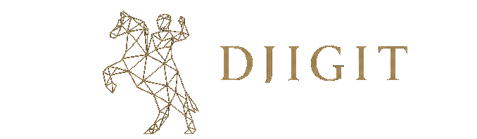 DJIGIT